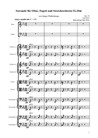 Serenade für Oboe, Fagott und Streichorchester