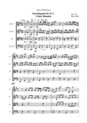 Streichquartett Nr.1 (3. Satz)
