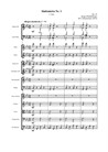 Sinfonetta Nr.1 – 1.Satz